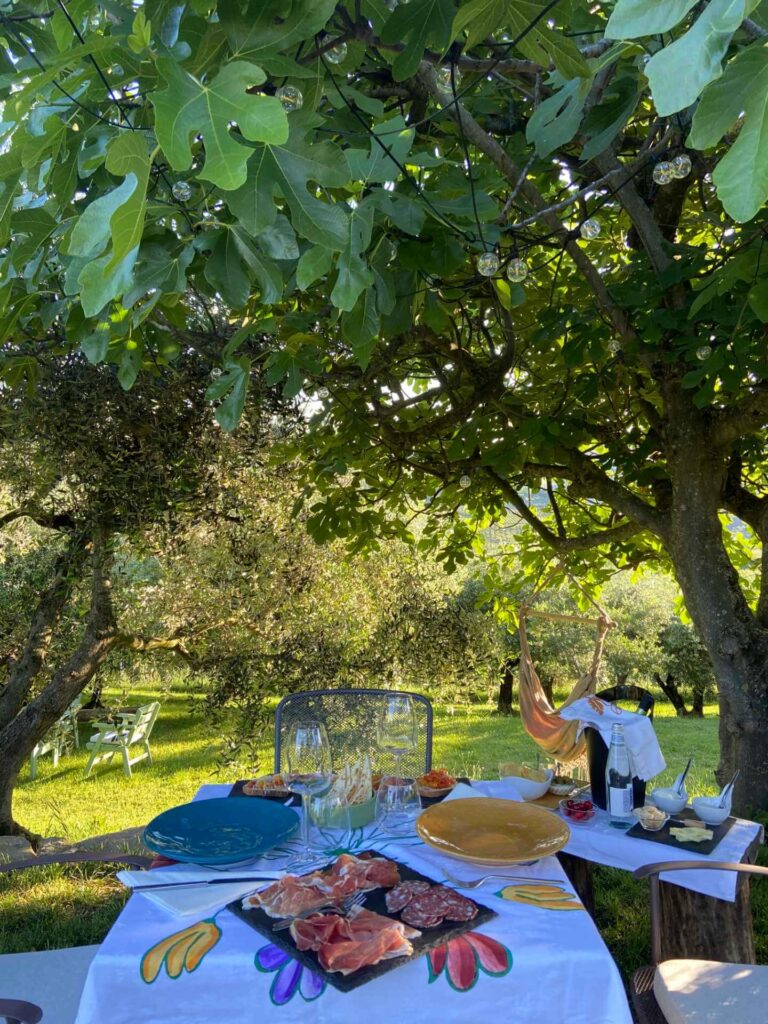 poderino food and wine