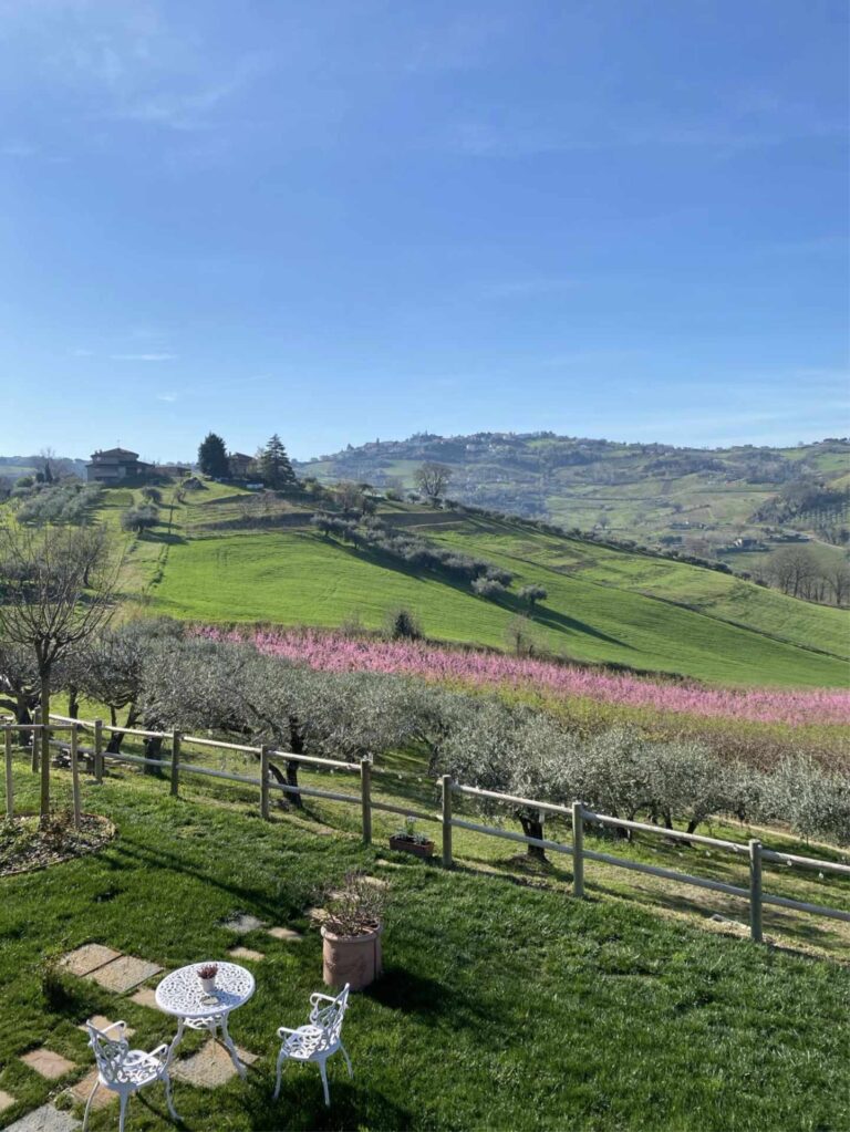il poderino roncofreddo b&b