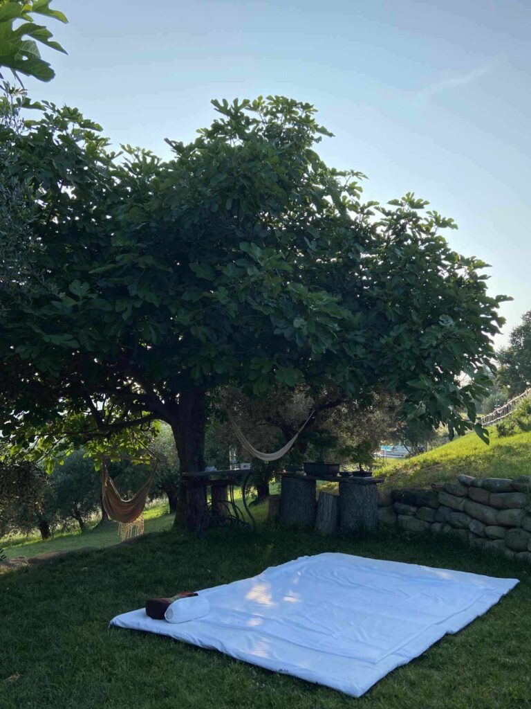 poderino-pool and wellness_8